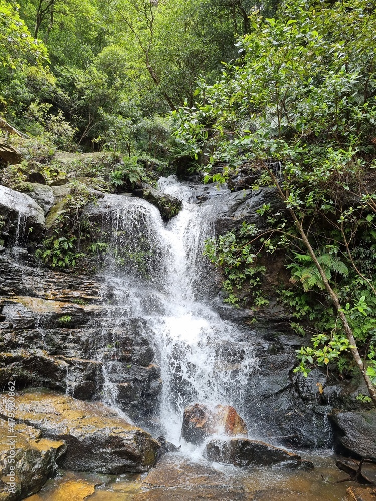 Blue mountains, Wentworth Falls on the sunny day, Australia Blue mountains, Wentworth Falls on the sunny day, Australia