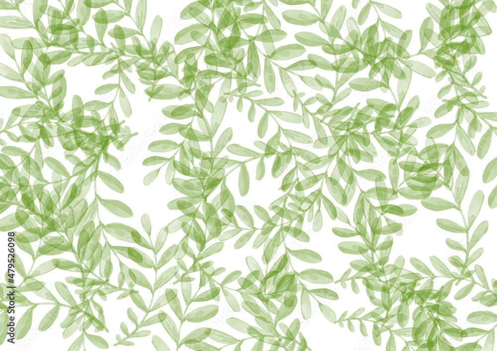 Tropical green Leave on white Background. Watercolor Backdrop