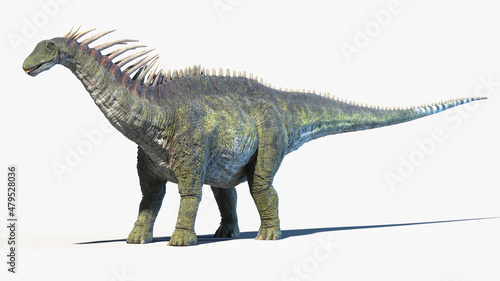 3d rendered illustration of an Amargasaurus © Sebastian Kaulitzki