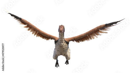 3d rendered illustration of an Archaeopteryx