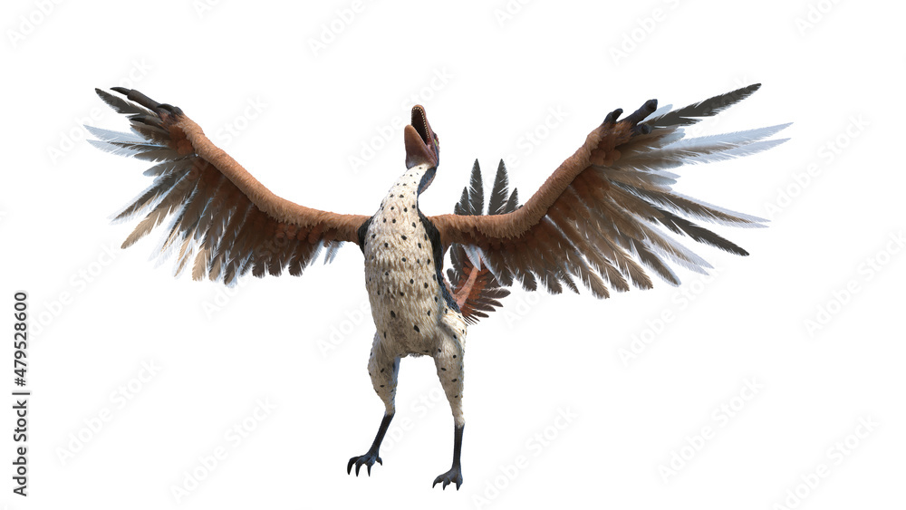 3d rendered illustration of an Archaeopteryx 3d rendered illustration of an Archaeopteryx