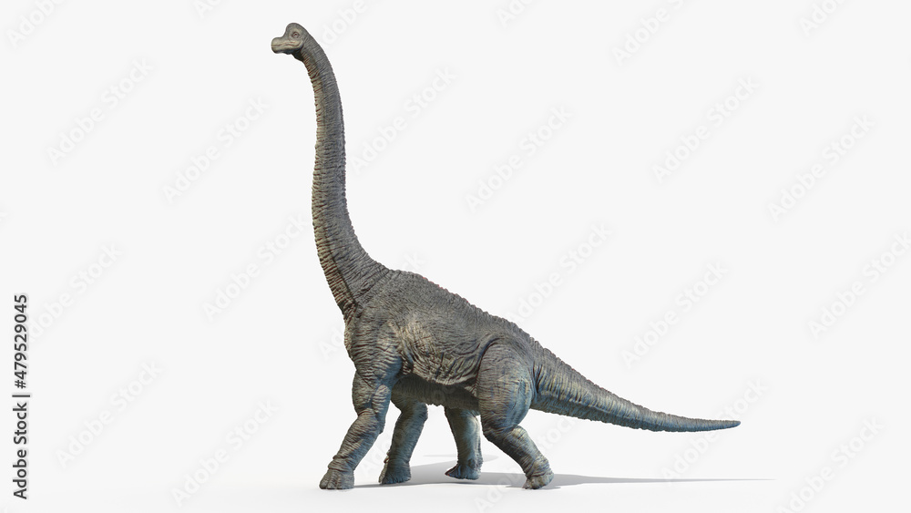 Fototapeta premium 3d rendered illustration of a Brachiosaurus