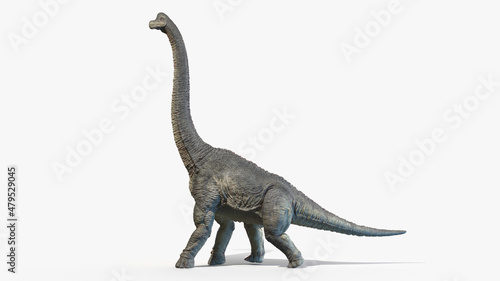 3d rendered illustration of a Brachiosaurus photo