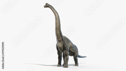 3d rendered illustration of a Brachiosaurus © Sebastian Kaulitzki