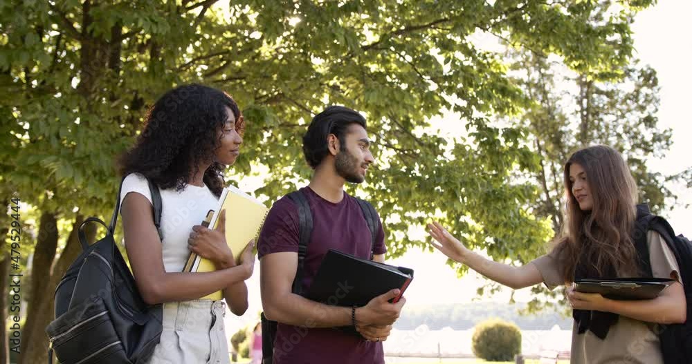 Multi racial students discussing topic at campus Multi racial students discussing topic at campus