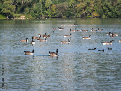 Wallpaper Mural OLYMPUS DIGITAL CAMERA Torontodigital.ca