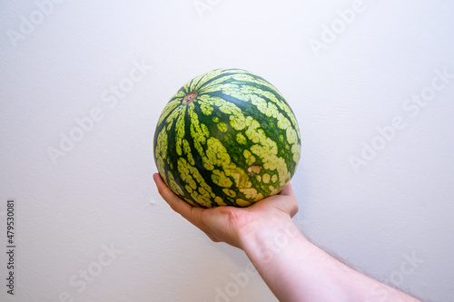 Hand holding a watermelon on white background.