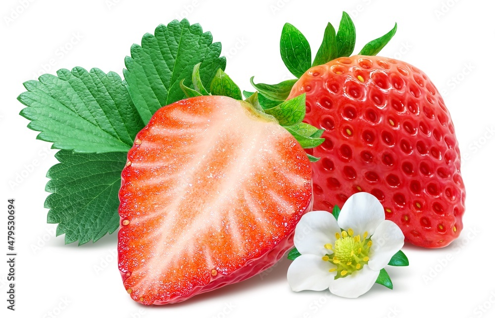 いちご 苺 イチゴ イラスト リアル 葉 花 セット Stock Illustration Adobe Stock