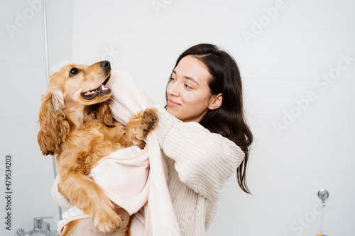 Cocker spaniel tacking a bath with his human in the bath tub. Woman using a towel to comfort her pet photo