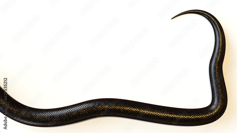 tail of a pink snake, isolated on white background tail of a pink snake, isolated on white background