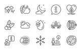 Nature icons set. Included icon as Apple, Organic tested, Eco energy signs. Water drop, Sunny weather, Bad weather symbols. World water, Snowflake, Walnut. Christmas holly, Local grown. Vector