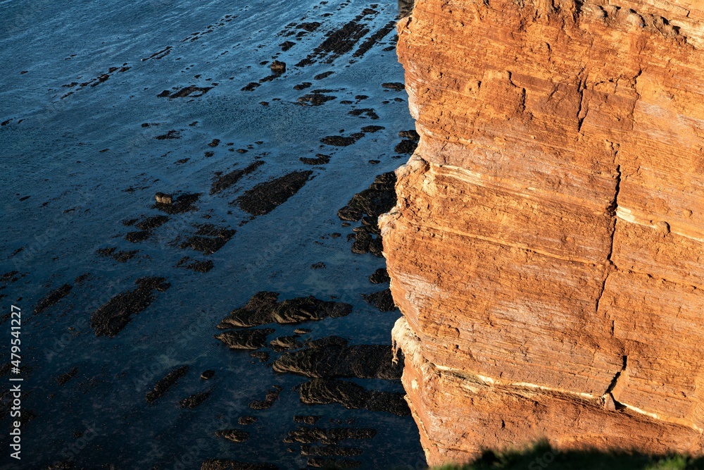 Felswand aus rotem Sandstein an  der Steilküste aus  auf der Hochseeinsel  Helgoland , wo im Frühjahr unzählige Meeresvögel brüten