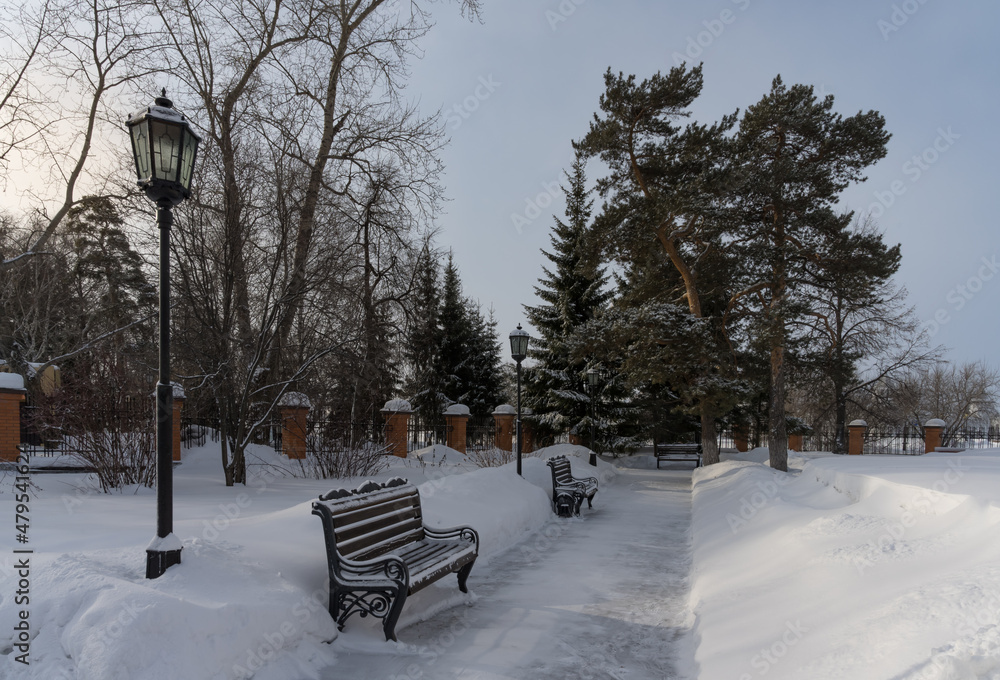 A shady alley in the park with old evergreen pines, wooden benches, old lanterns and tall snowdrifts with pure white snow. The dim evening sun illuminates this corner of the park. Russia Siberia A shady alley in the park with old evergreen pines, wooden benches, old lanterns and tall snowdrifts with pure white snow. The dim evening sun illuminates this corner of the park. Russia Siberia