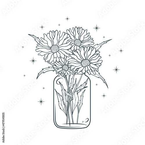 Celestial mason jar with a bouquet of daisies. Hand drawn floral vector illustration  isolated on white background.