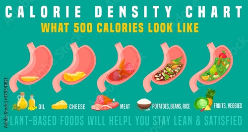 Calorie density. What 500 calories look like in the stomach.