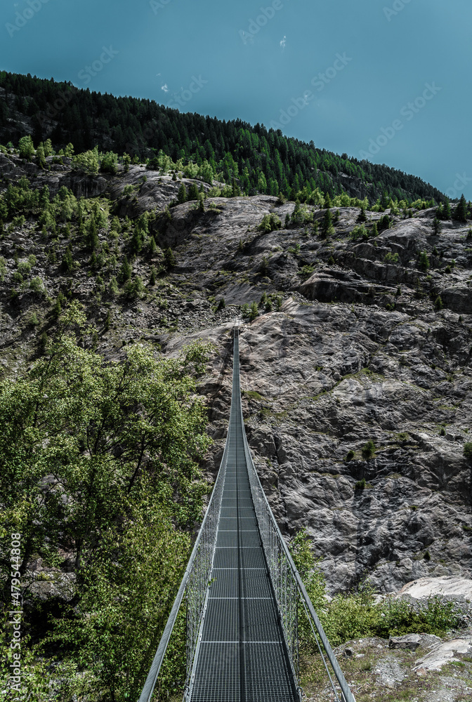 Fototapeta premium Hängebrücke