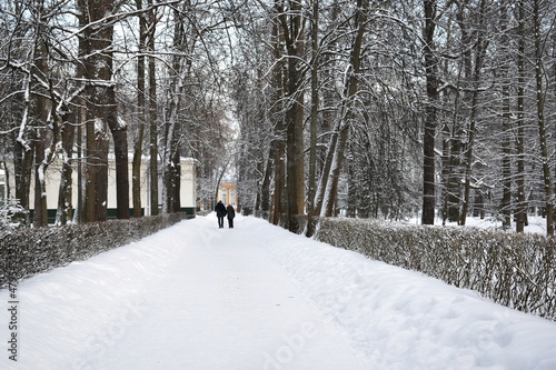 winter park for walking people
