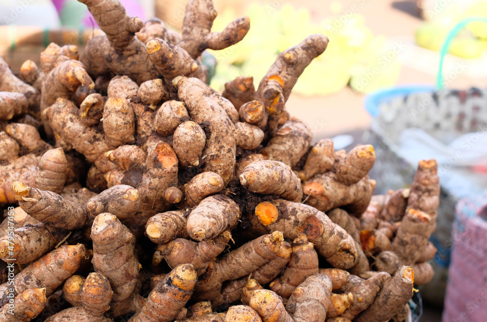 Fresh ginger - Ginger in bulk in the basket. Ginger root from the garden Fresh ginger - Ginger in bulk in the basket. Ginger root from the garden