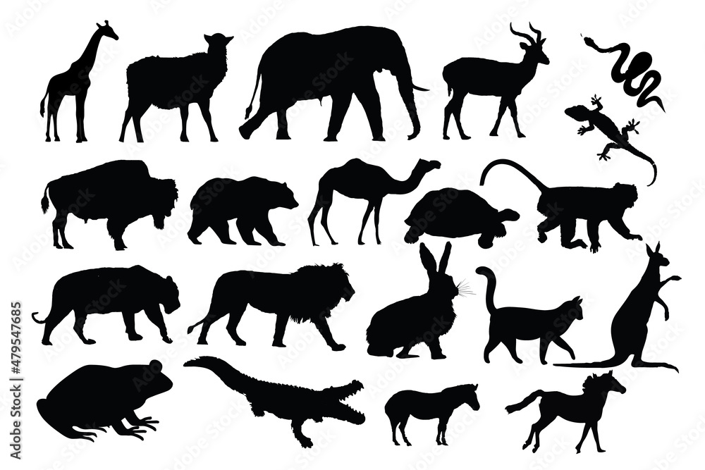 Animal Silhouette Collection. Lion, elephant, bear, crocodile, monkey, cat, horse, frog, bison, snake, dear, zebra, camel, lizard, turtle,  kangaroo vector illustration