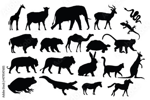 Animal Silhouette Collection. Lion, elephant, bear, crocodile, monkey, cat, horse, frog, bison, snake, dear, zebra, camel, lizard, turtle,  kangaroo vector illustration © Nandinigraphics