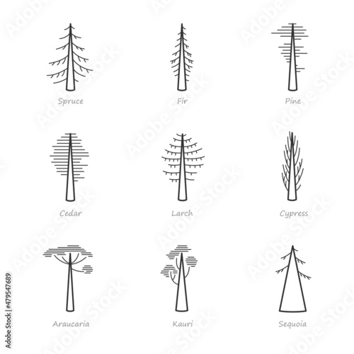 Simple set of coniferous trees related vector icons. Contains icons as araucaria, cedar, cypress, fir, pine and more.