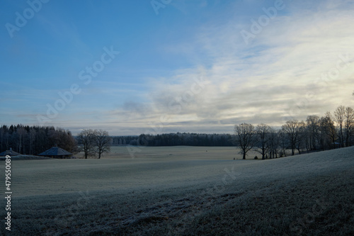 farming fields with grass in the foreground and trees on a cloudy autumn day with frost © Martins