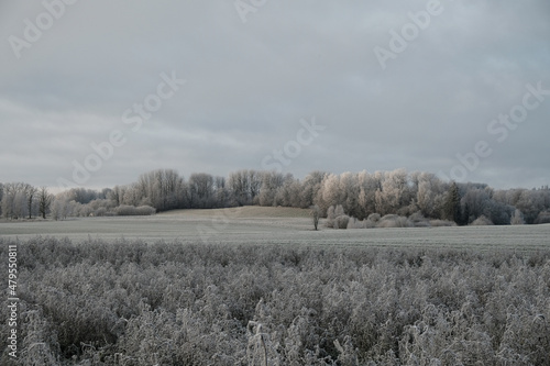 farming fields with grass in the foreground and trees on a cloudy autumn day with frost
