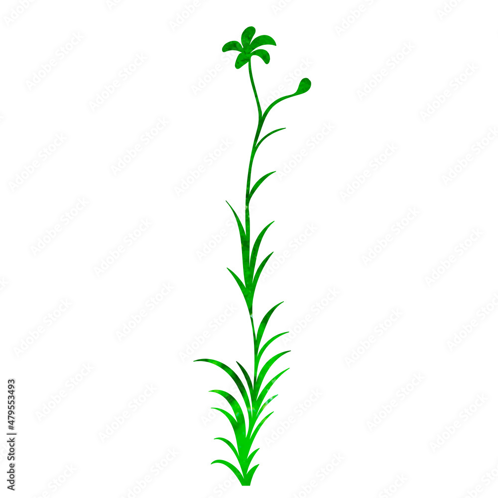 Fototapeta premium plant green watercolor silhouette set, isolated