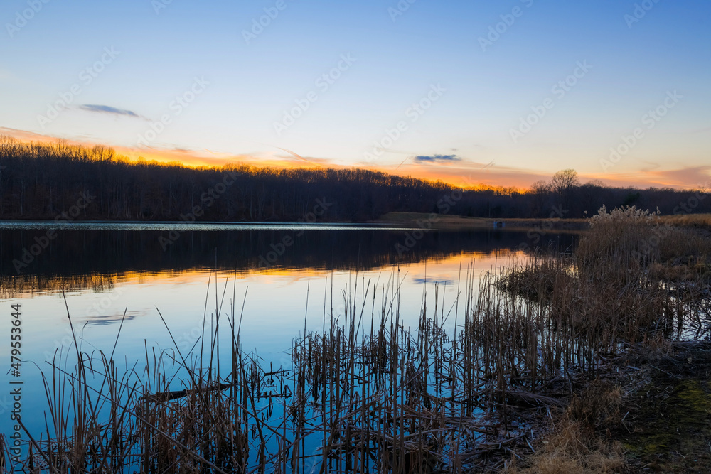 Shoreline at Dusk