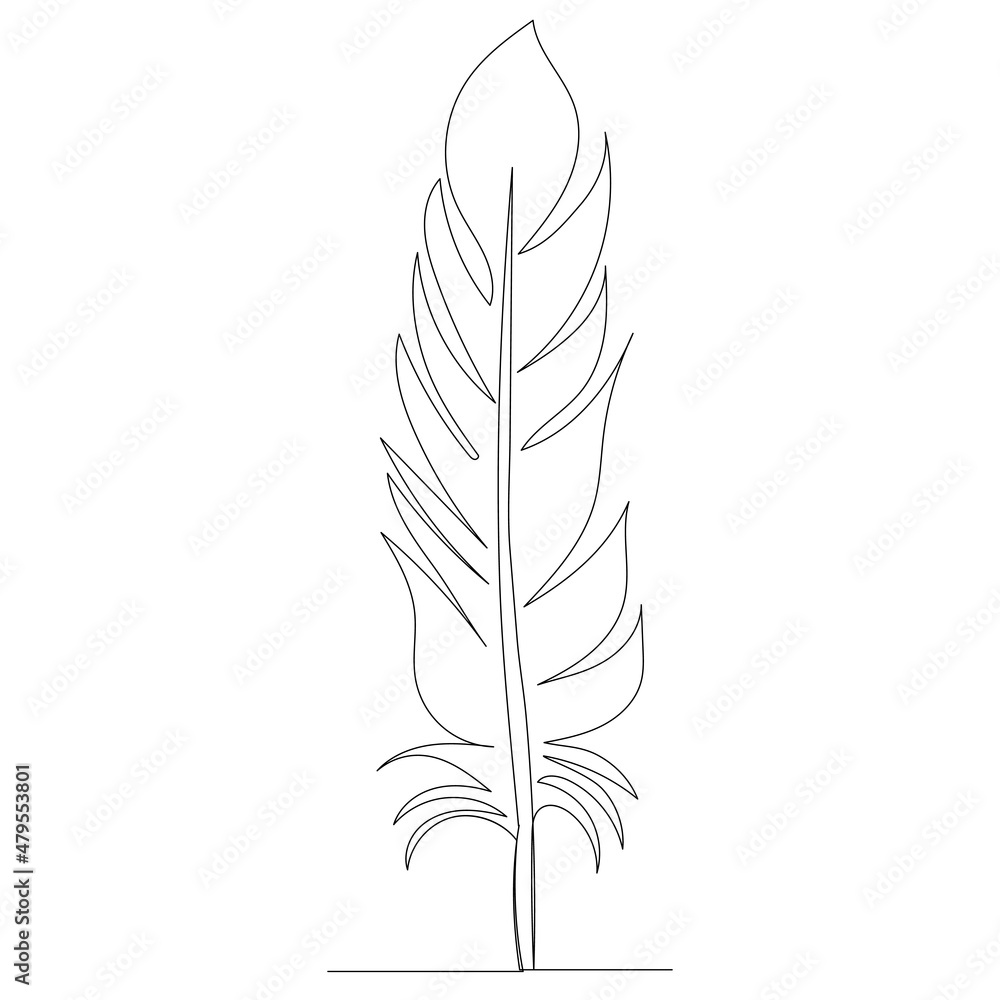 bird feather drawing by one continuous line, isolated, vector