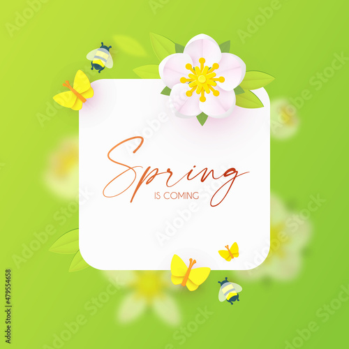Spring sale banner with soft flowers and golden test on bright green background. Flowers, buttreflies and bees.