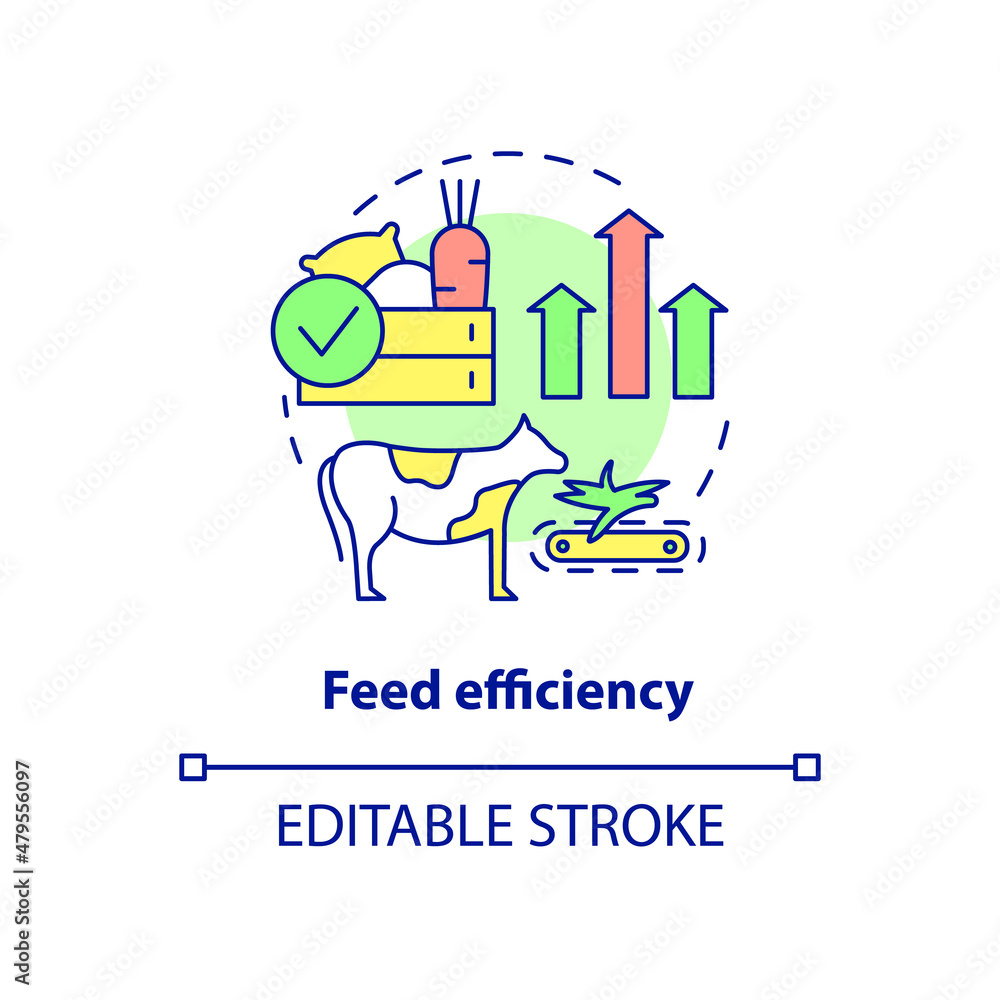 Feed efficiency concept icon. Beef production abstract idea thin line illustration. High-concentrate diet. Isolated outline drawing. Editable stroke. Roboto-Medium, Myriad Pro-Bold fonts used