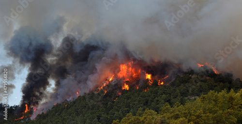 Wildfire in the forest near a resort town.Marmaris, Turkey. Summer 2021