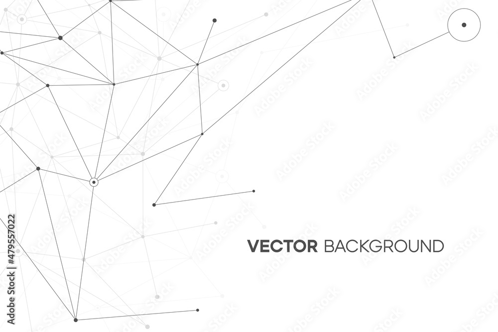 White black network background with plexus line and circle. Web concept illustration. Minimal scientific texture