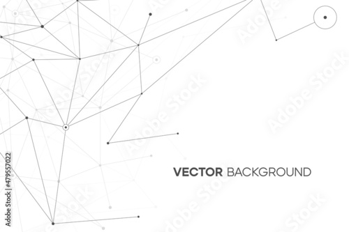 White black network background with plexus line and circle. Web concept illustration. Minimal scientific texture