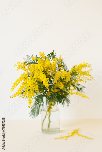 A bouquet of yellow mimosa flowers in a glass vase. The concept of women's spring or mother's day. Greeting card with copy space