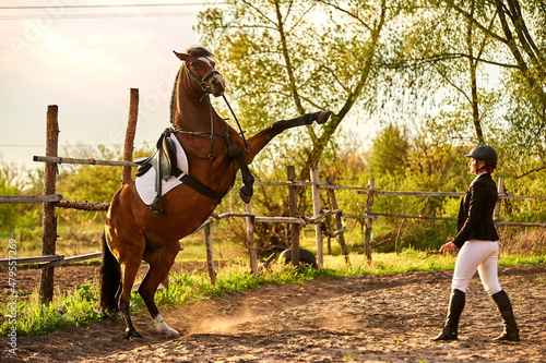Fototapeta A horse rider girl is training a horse