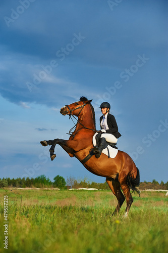 A horse rider girl is training a horse. The horse stood on its hind legs
