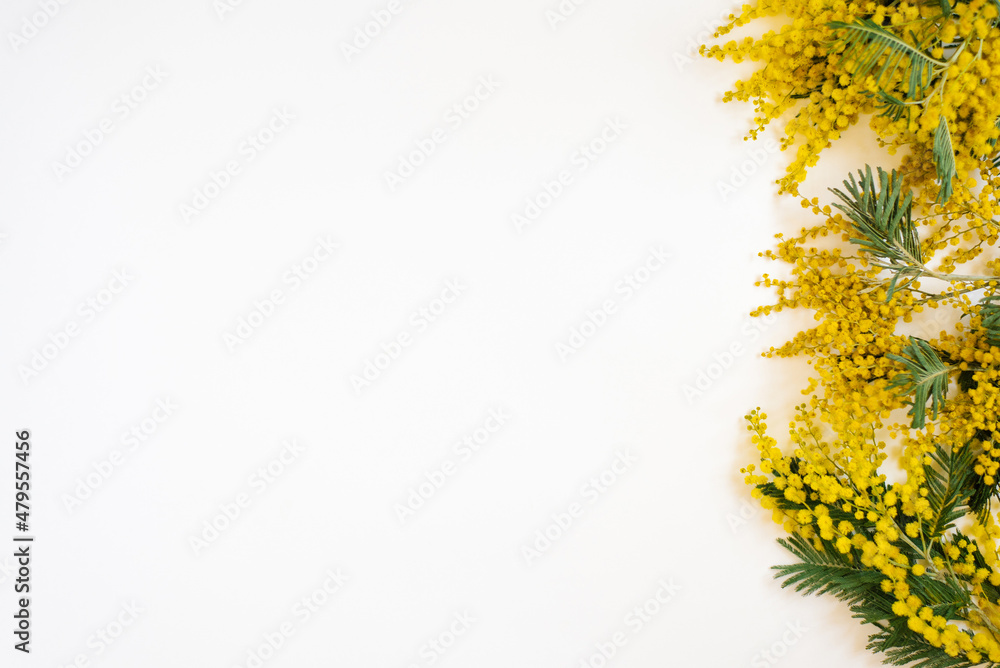 Floral frame of yellow mimosa branches on white background. Flowers of woman day. Flat lay, top view.