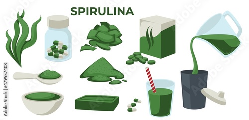 Spirulina superfood or dietary supplement vector