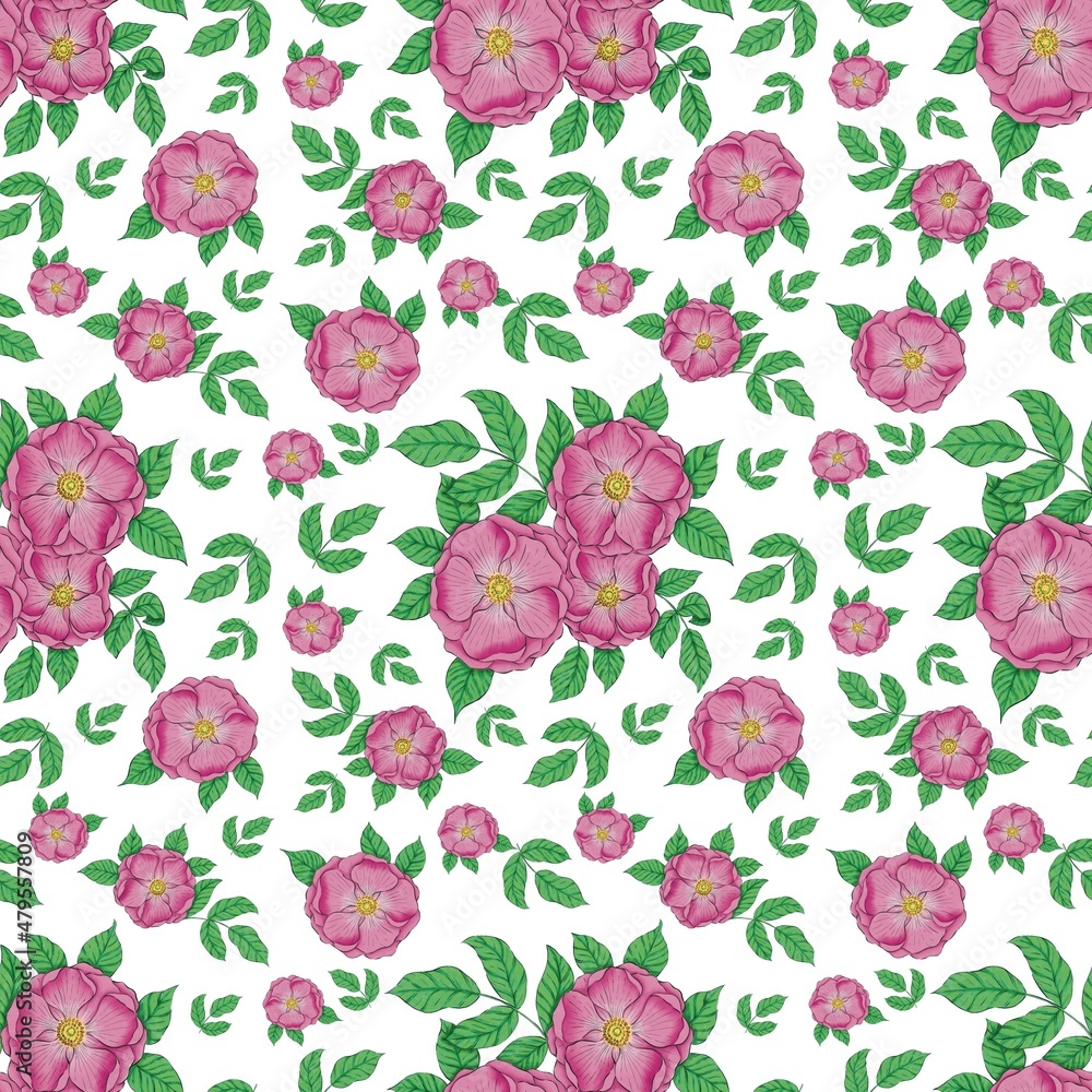 seamless floral pattern seamless floral pattern