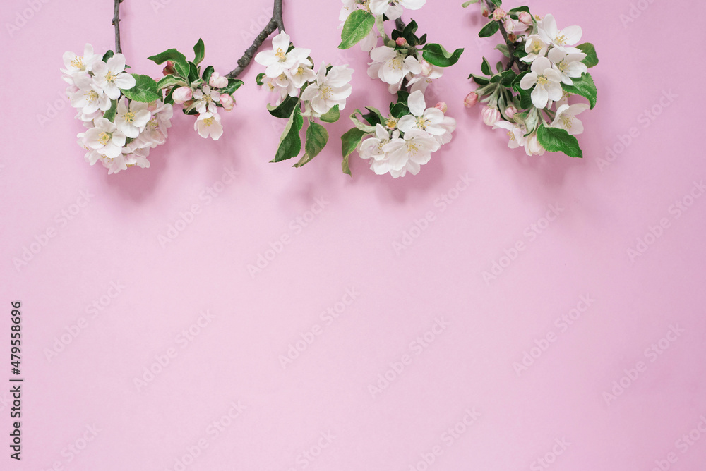 Delicate white flowers of an apple tree on branches on a wpink table, top view and flat lay