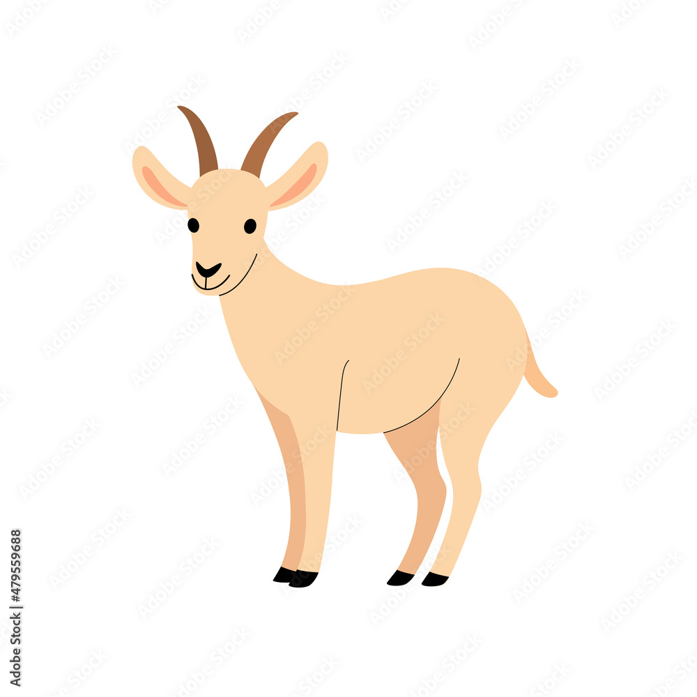 Illustration of goat. Simple flat vector illustration. Illustration of goat. Simple flat vector illustration.