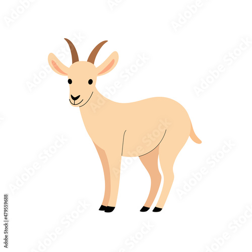 Illustration of goat. Simple flat vector illustration. © Lili Kudrili