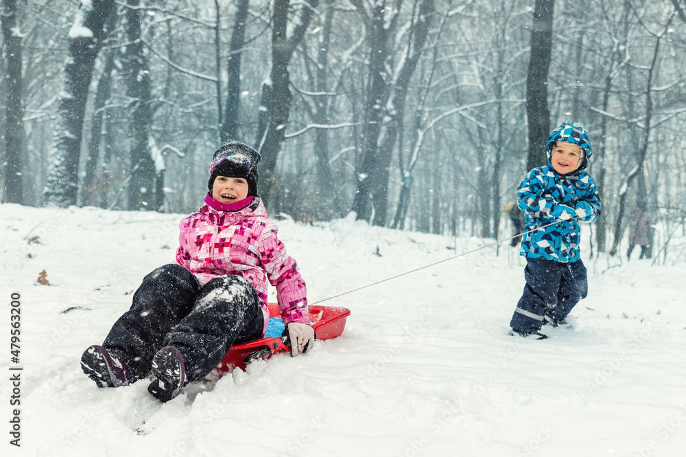 Two cute adorable funny sibling kid friend wear warm jacket enjoy have fun sledging at city park area or forest against cold snowy woods landscape on blizzard winter day. Outdoor children activity Two cute adorable funny sibling kid friend wear warm jacket enjoy have fun sledging at city park area or forest against cold snowy woods landscape on blizzard winter day. Outdoor children activity