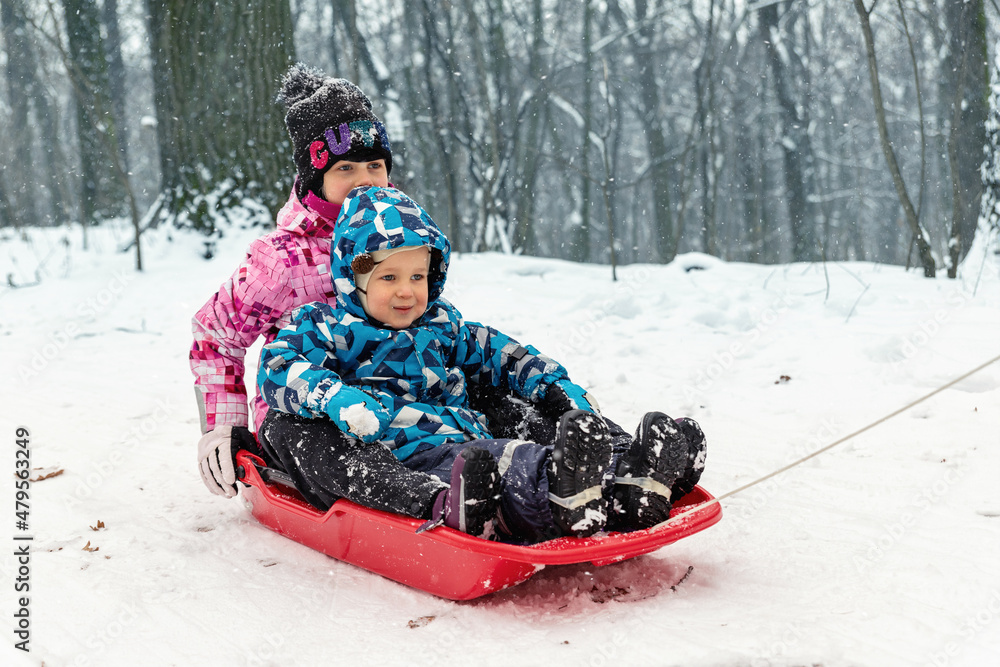 Two cute adorable funny sibling kid friend wear warm jacket enjoy have fun sledging at city park area or forest against cold snowy woods landscape on blizzard winter day. Outdoor children activity