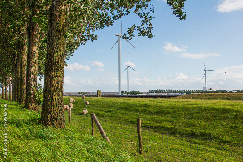 Fototapeta premium Wind turbines in Neterlands