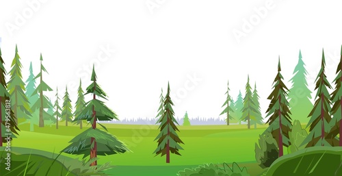 Coniferous Forest. Pine and Spruce Trees on Glade. Isolated on white background. Seamless horizontal illustration in cartoon style flat design. Vector