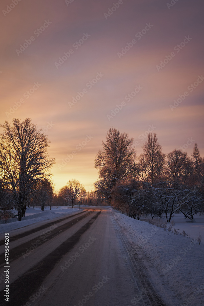 rural landscape tree cloudy morning sunset cold winter with snow and road