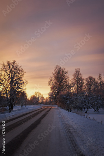 rural landscape tree cloudy morning sunset cold winter with snow and road